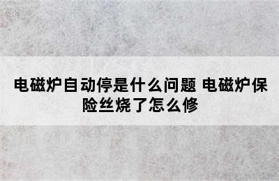 电磁炉自动停是什么问题 电磁炉保险丝烧了怎么修